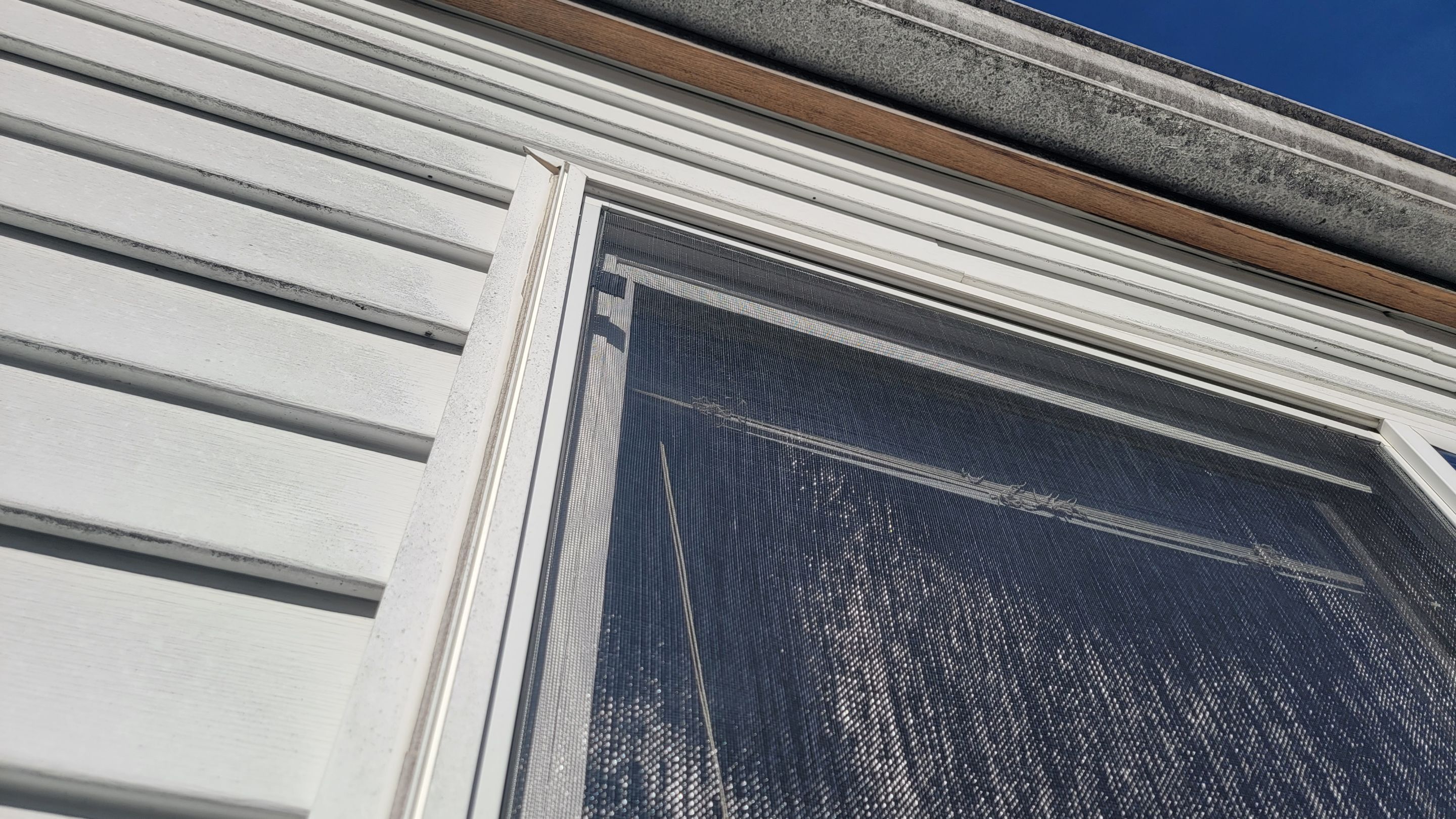 Tyler Kuhns by Silver Leaf Contracting 