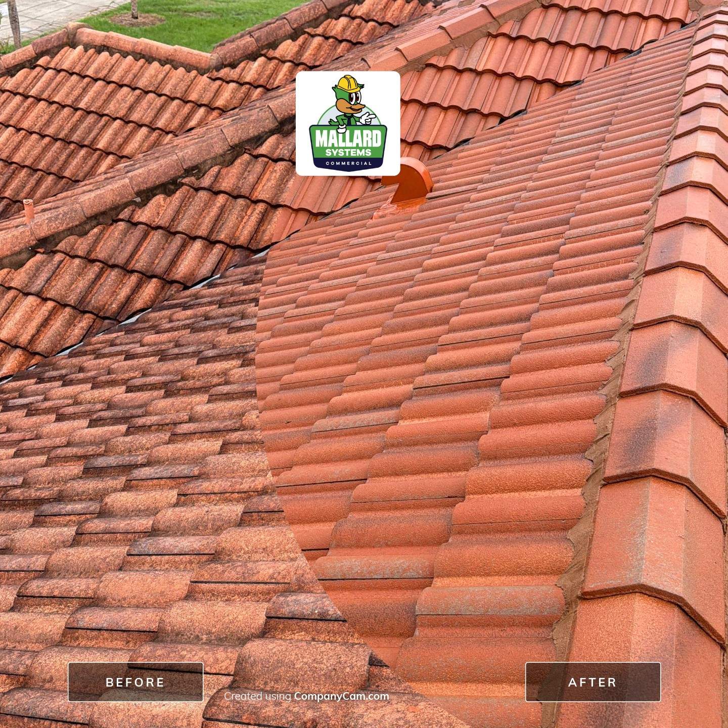 Terracotta Barrel Tile Roof Cleaning for Windermere Residence by Mallard Systems