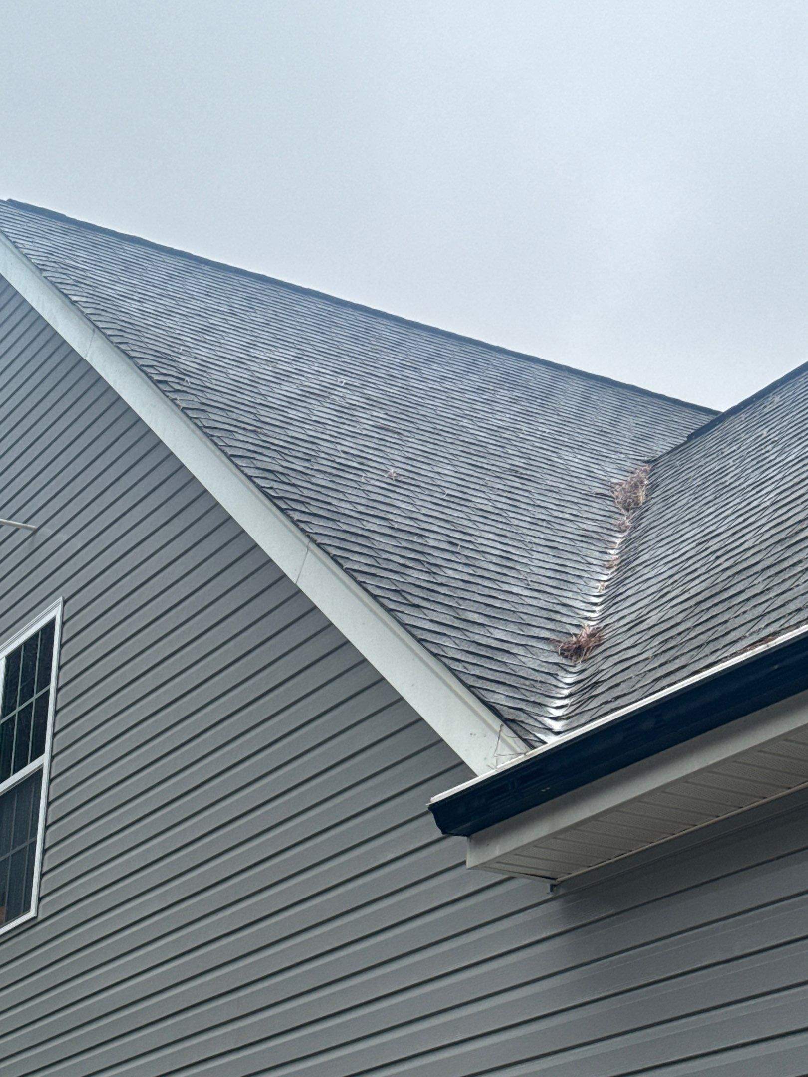 roof cleaning is being performed to remove debris and dirt from the shingles and gutter area.