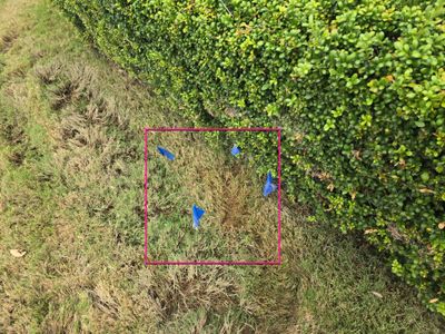 Residential Water Leak Detection Services