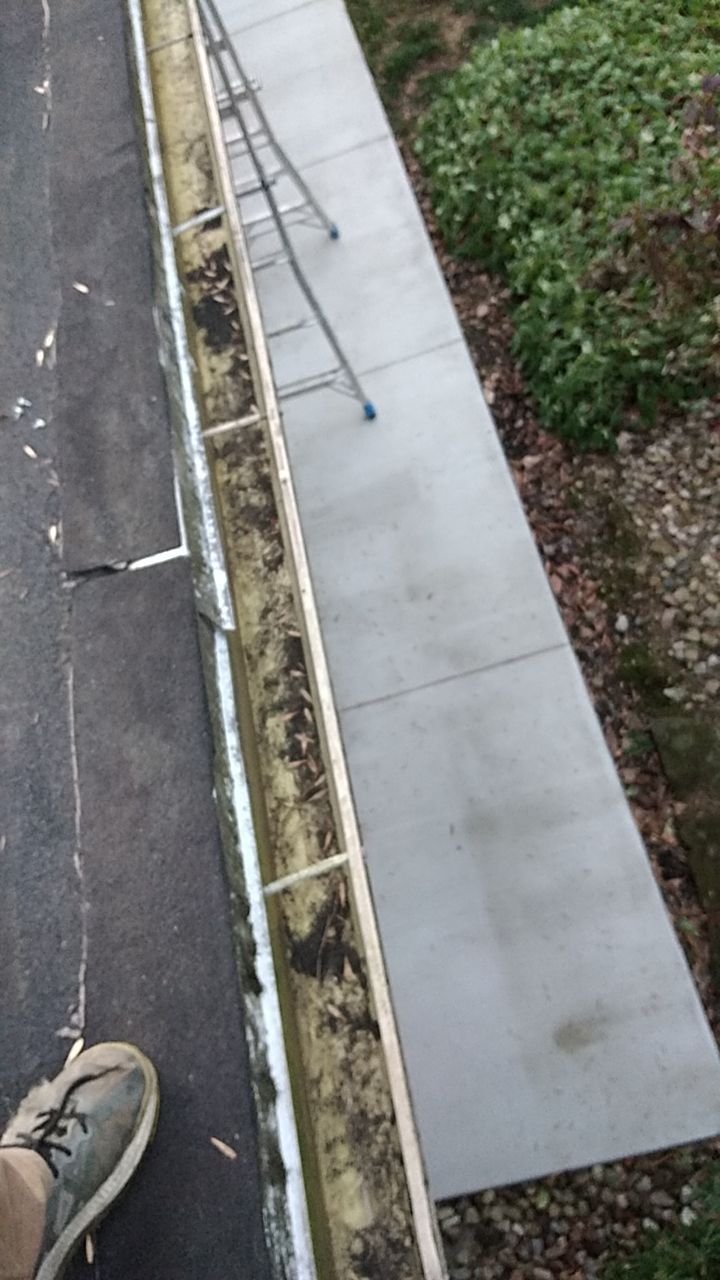 Ryan Kelly by Silver Leaf Contracting 