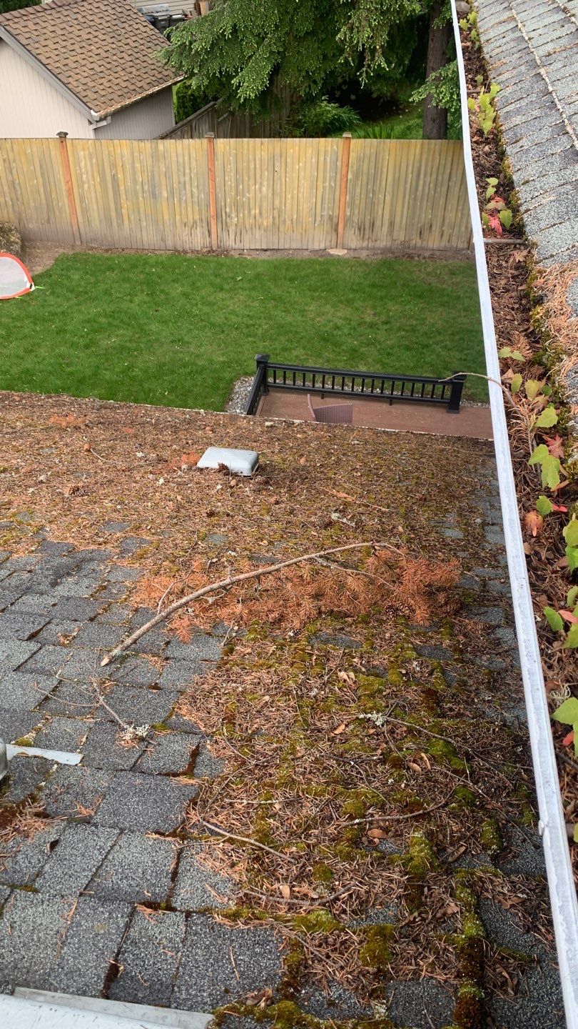 Softwashed in many Years back, and organic regrowth significant by DawnSky LLC
