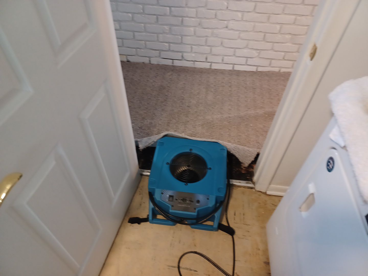 Project in Royal Oak by EzDry Water Mitigation & Property Restoration