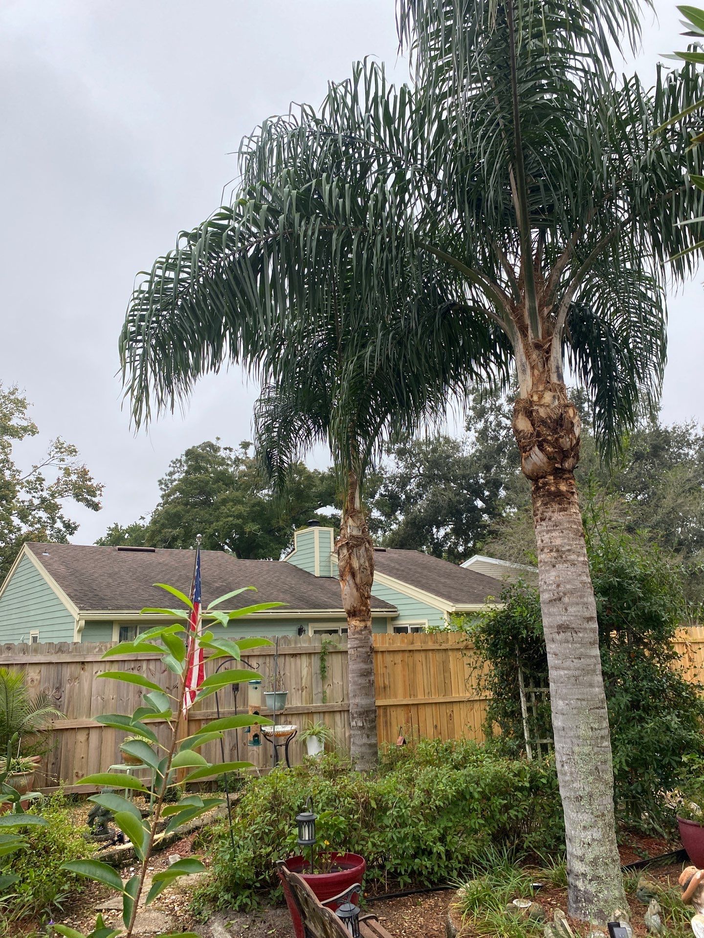 Tree Trimming | Residential by ProGreen Services