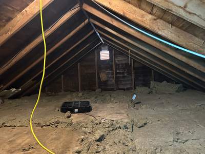 Lynn Attic Remediation