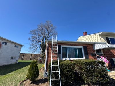 Project in Catonsville