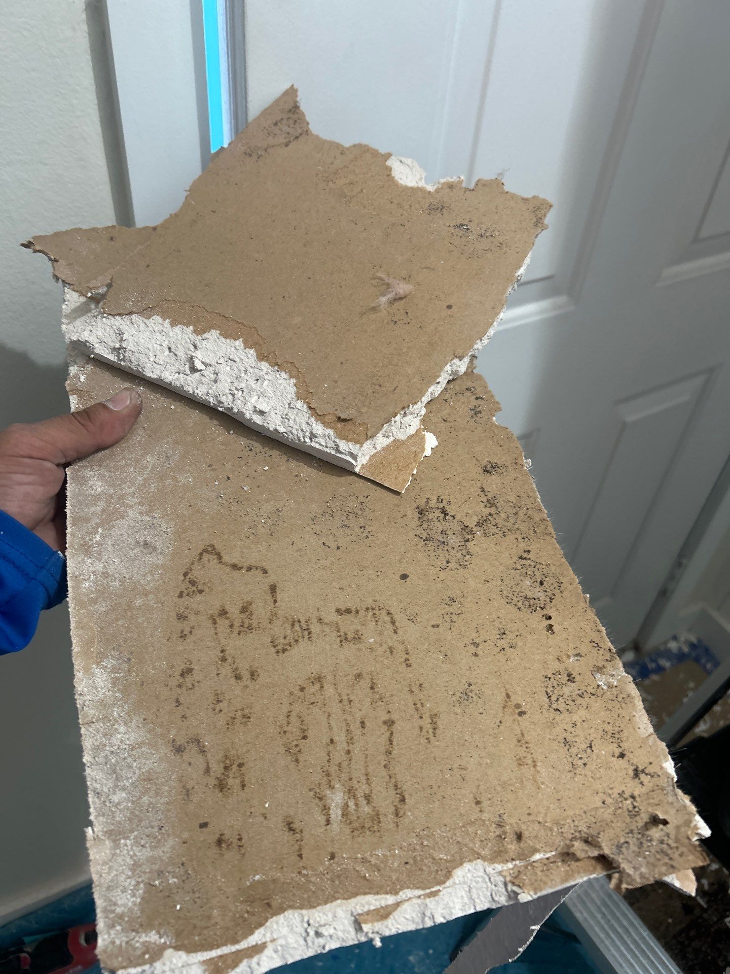Commercial Water Damage Restoration In Bradenton by Ampm Restoration Services