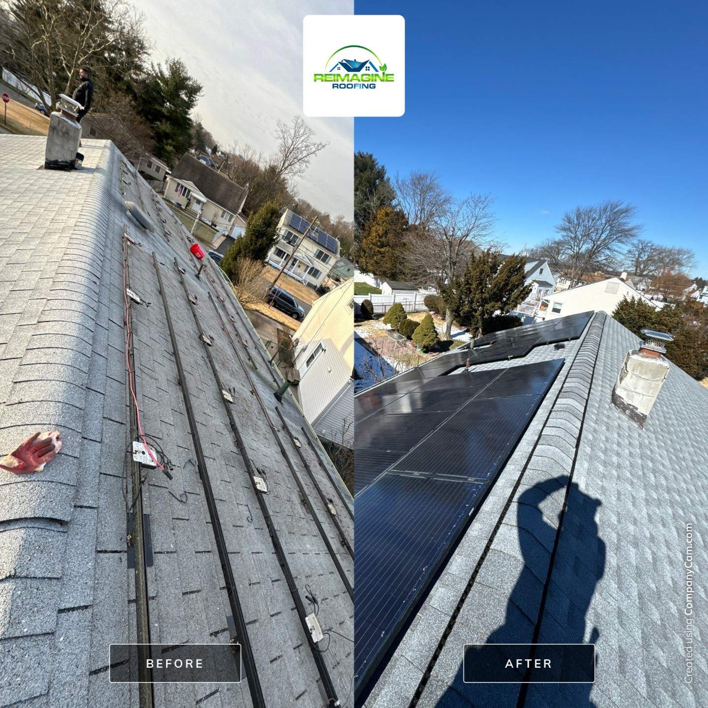 Silver Birch Shingles by Reimagine Roofing