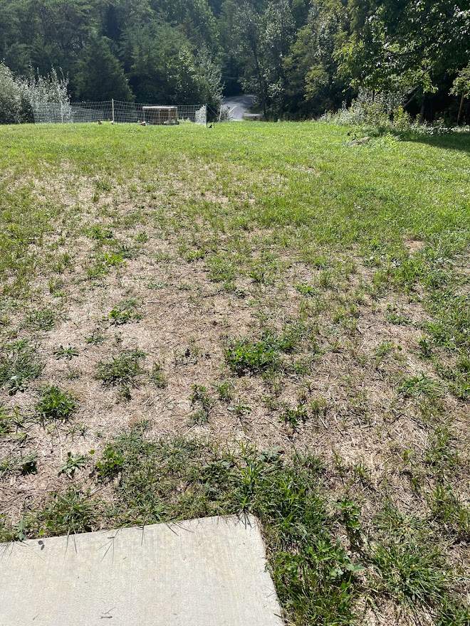 Clay street  by Back To Nature Landscaping & Construction