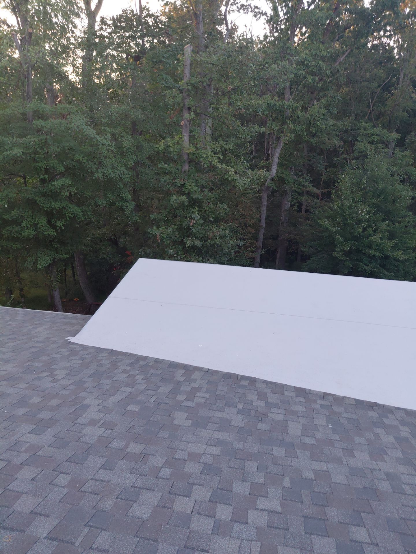 Vienna : Residential Roof Replacement with CertainTeed Landmark Pro in Max Def Georgetown Gray  by RM Banning, Inc.