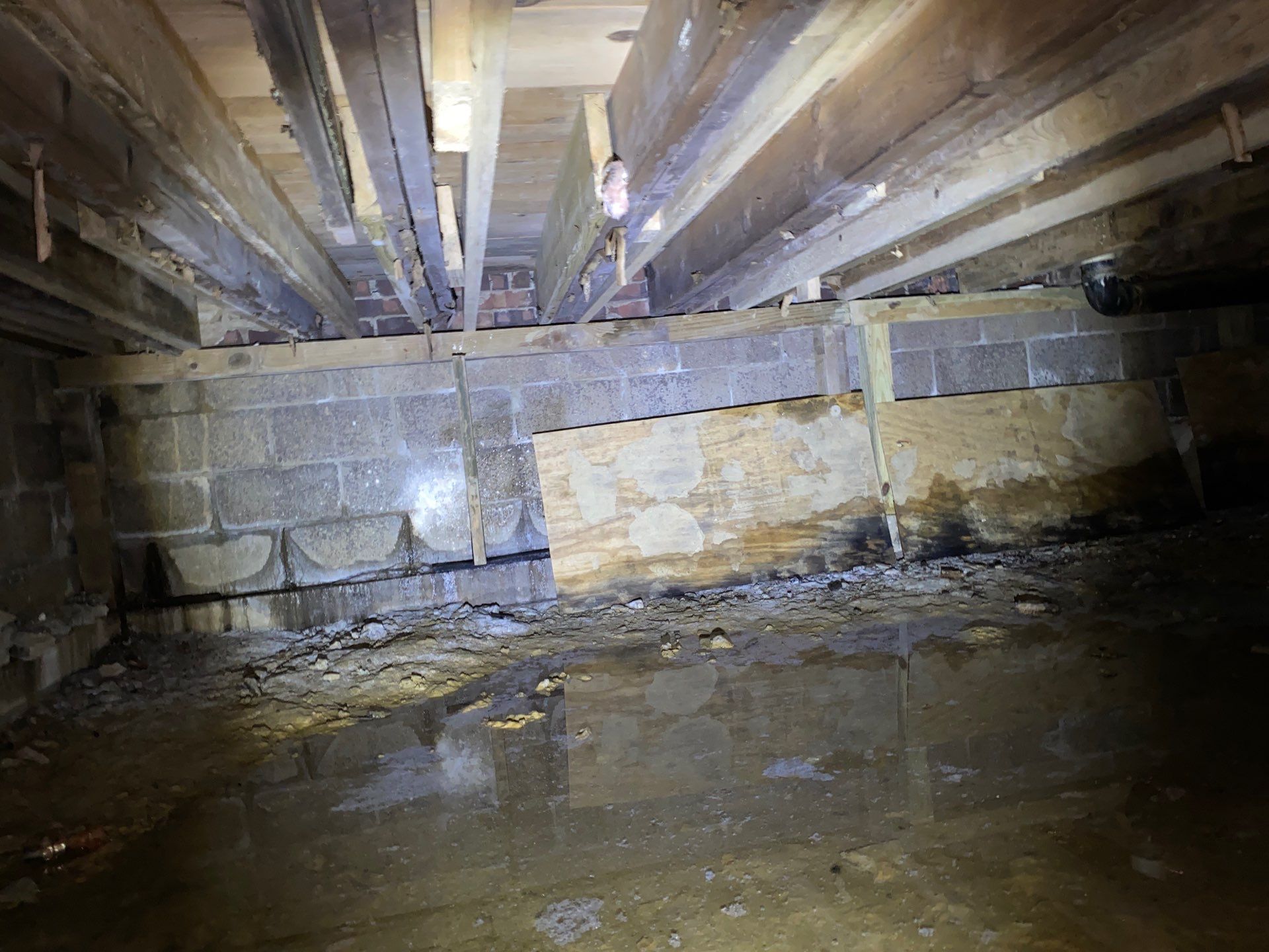 Crawl space mold remediation Burgettstown Pa home by Home Environment Solutions