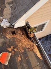 Project in Holland by Serene Construction