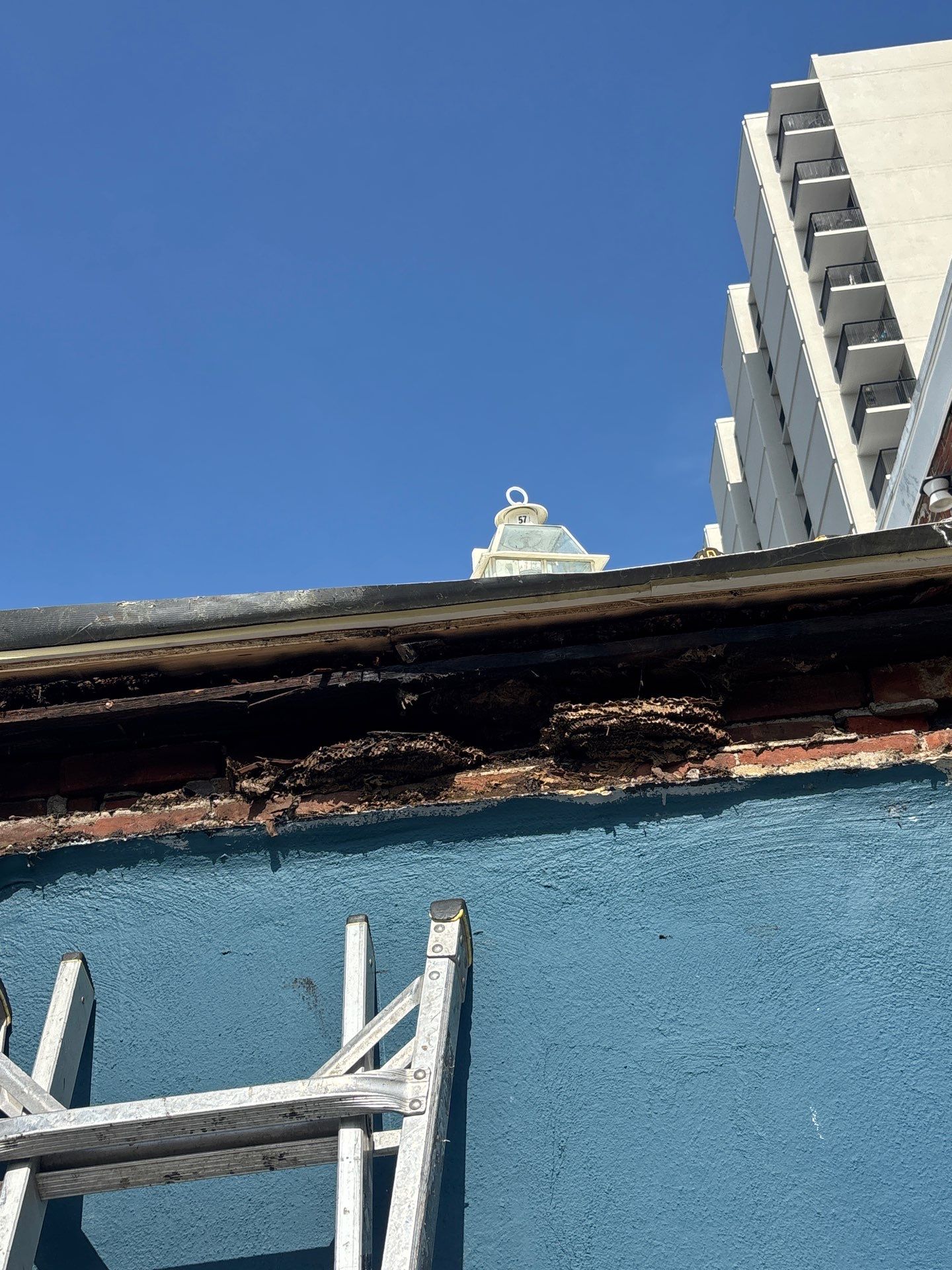 TPO Project in Philadelphia, Pennsylvania by Philadelphia Quality Roofing