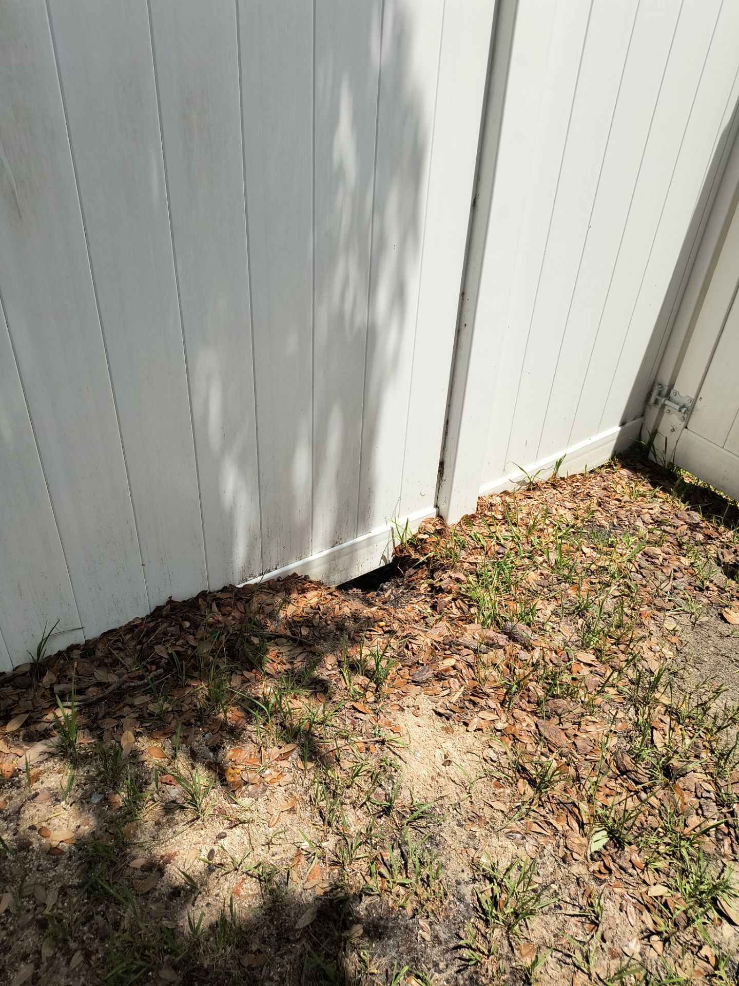 Professional Gutter Cleaning in Lutz FL by Gutter Professors