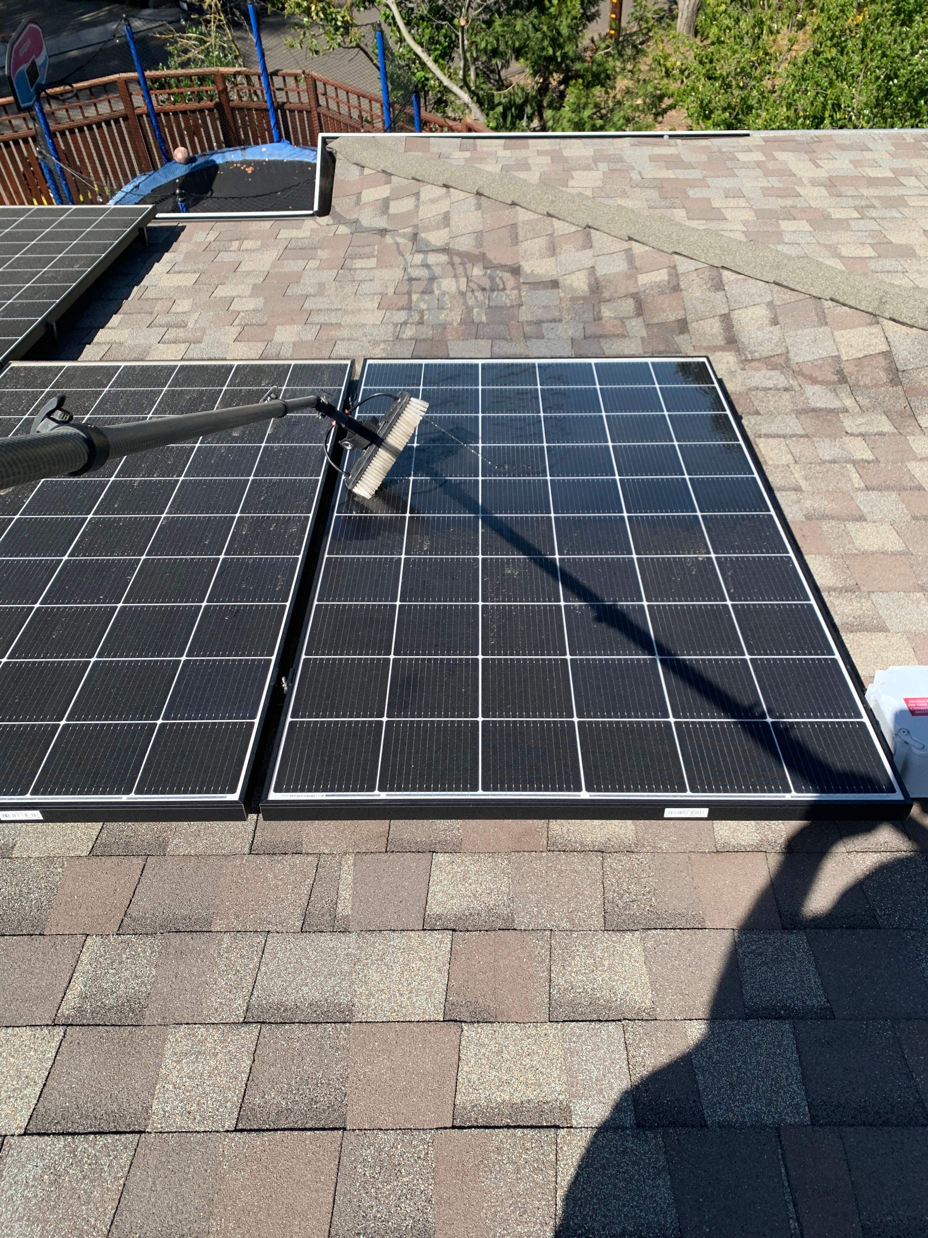 Bernadette Ryan-Leduc by SpotFree Window Cleaning