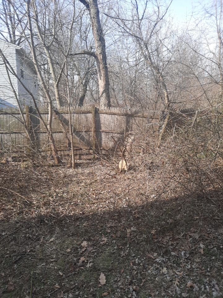 Tree Removal using Tree Removal by Mike Jones & Sons Tree Service LLC 