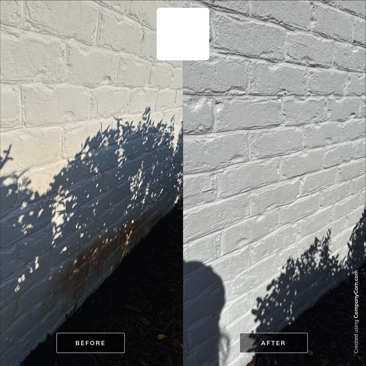 House Washing in Wilmington by Shark Power Washing