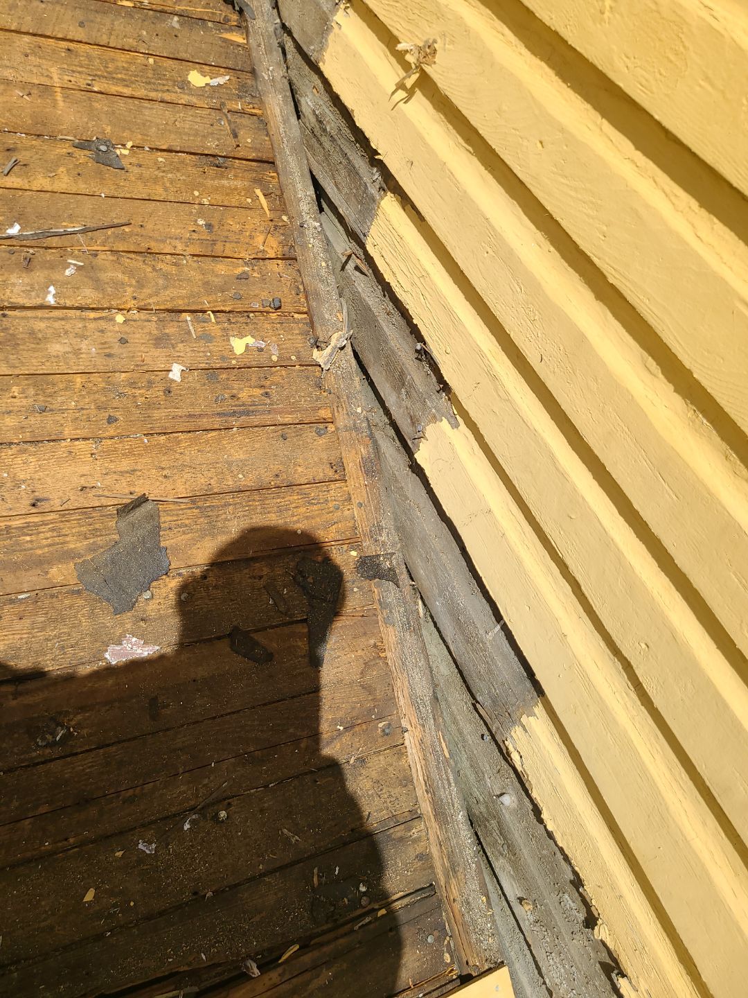 Arlington: CertainTeed Landmark Designer Shingles in Moire Black by RM Banning, Inc.