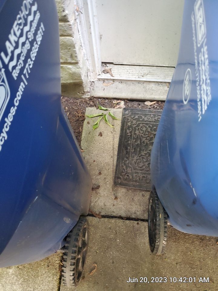 natural stone cleaning using Algaecide, soft wash soap by Northern Power Washing LLC.