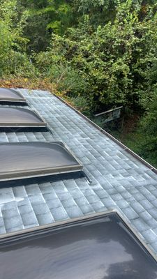 Project in Midlothian