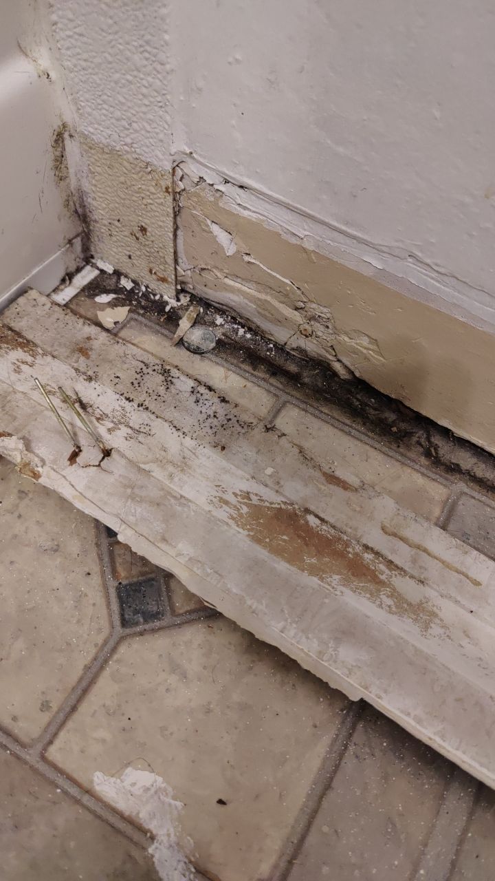 Mold Remediation by Accountable Home Services