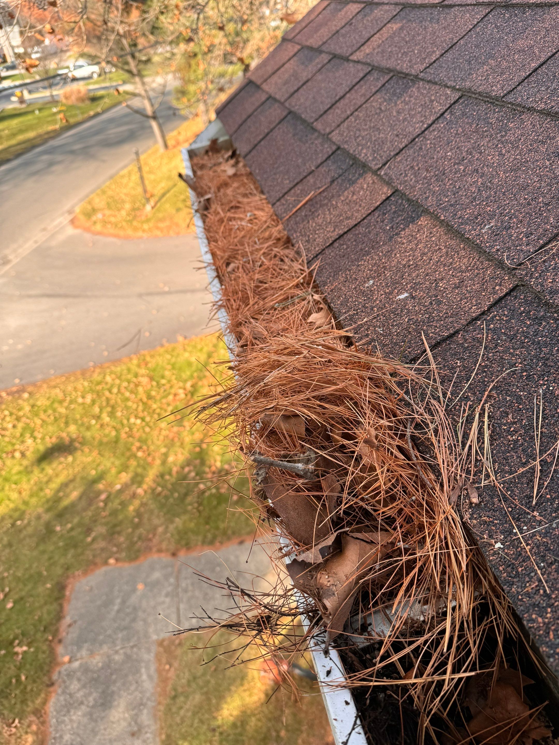 Commercial gutter cleaning Charleston, WV before photo with filled gutters