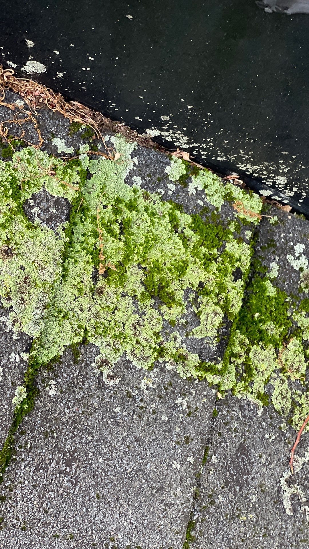 Project in Chester by Roof Maxx of Midlothian