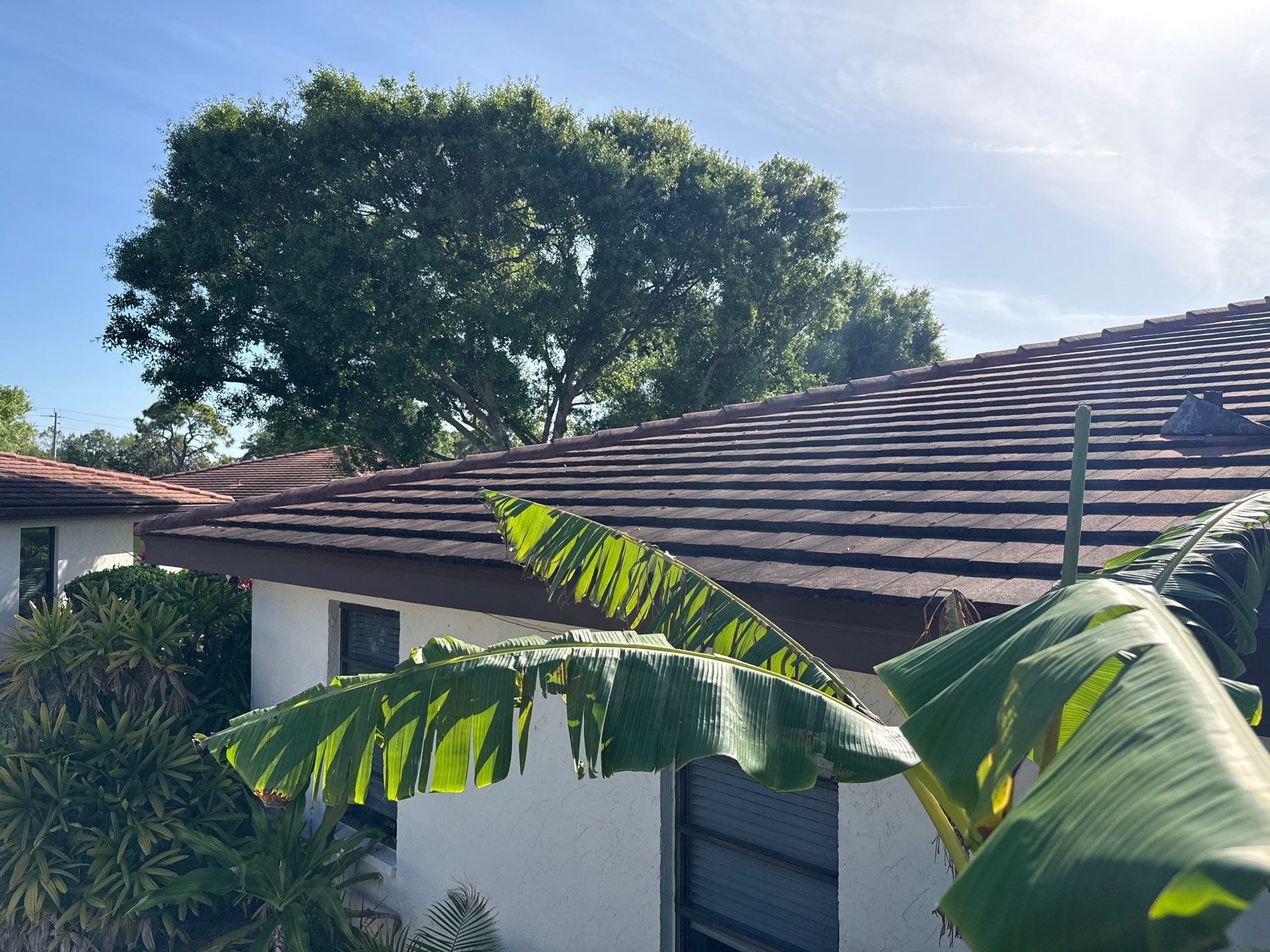 Tile Roof Cleaning in Vivienda at Bradenton, FL | No Roof Walking Method by Sunshine AquaWash