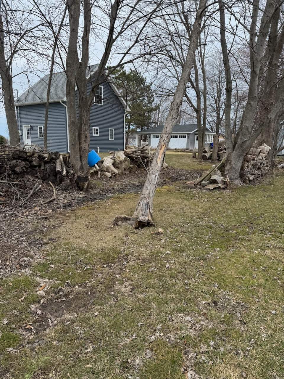 Tree Removal using Bobcat by Treeman Tom LLC