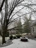 Tree Removal using Tree Removal by Mike Jones & Sons Tree Service LLC 