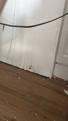 Commercial Water Damage — Cape Coral, FL