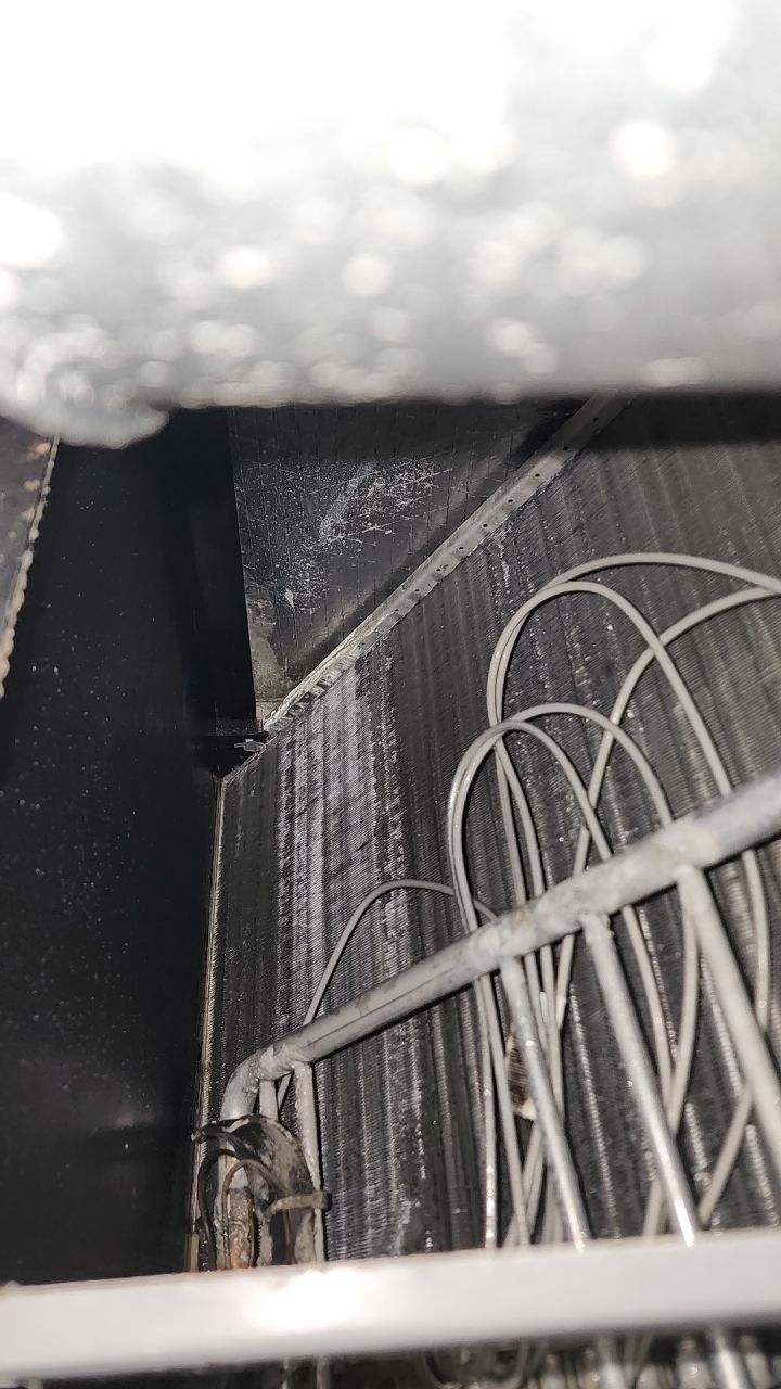 HVAC MOLD ASSESMENT by Building performance Solutions LLC