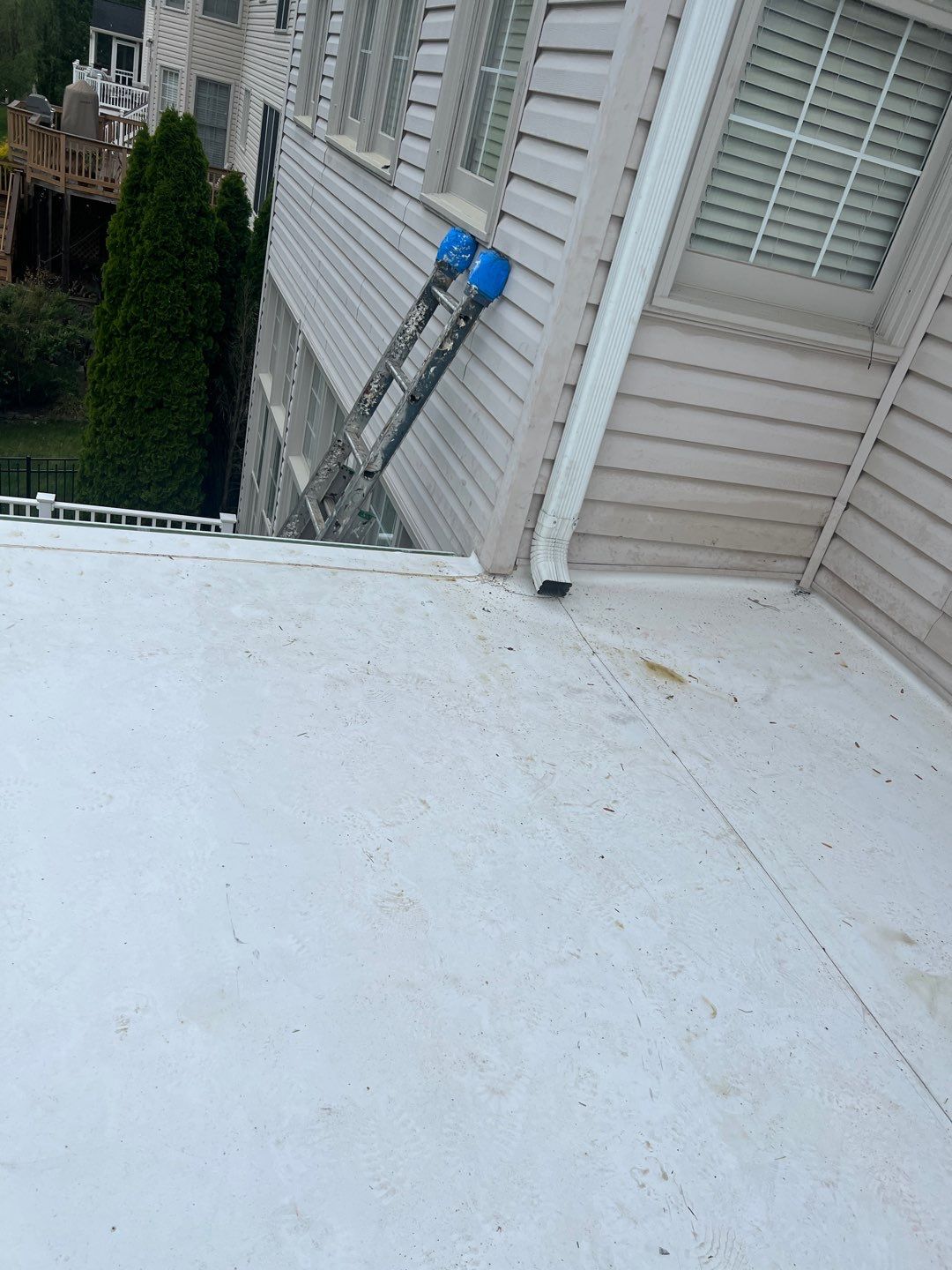 Springfield: CertainTeed Landmark Pro Designer Shingles in Max Def Moire Black by RM Banning, Inc.