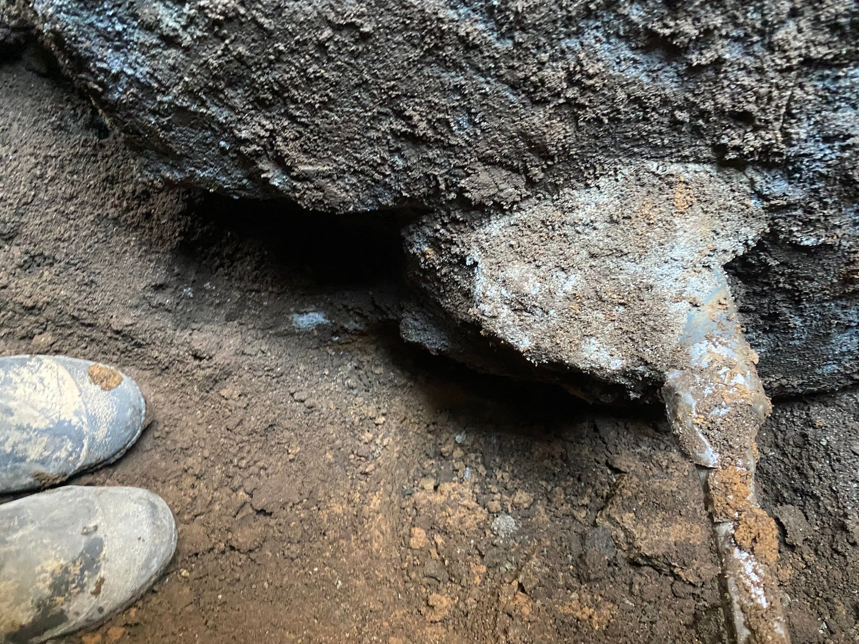 Basement Waterproofing & Foundation Wall Repair in Denville NJ by Pure Service Pro, LLC 