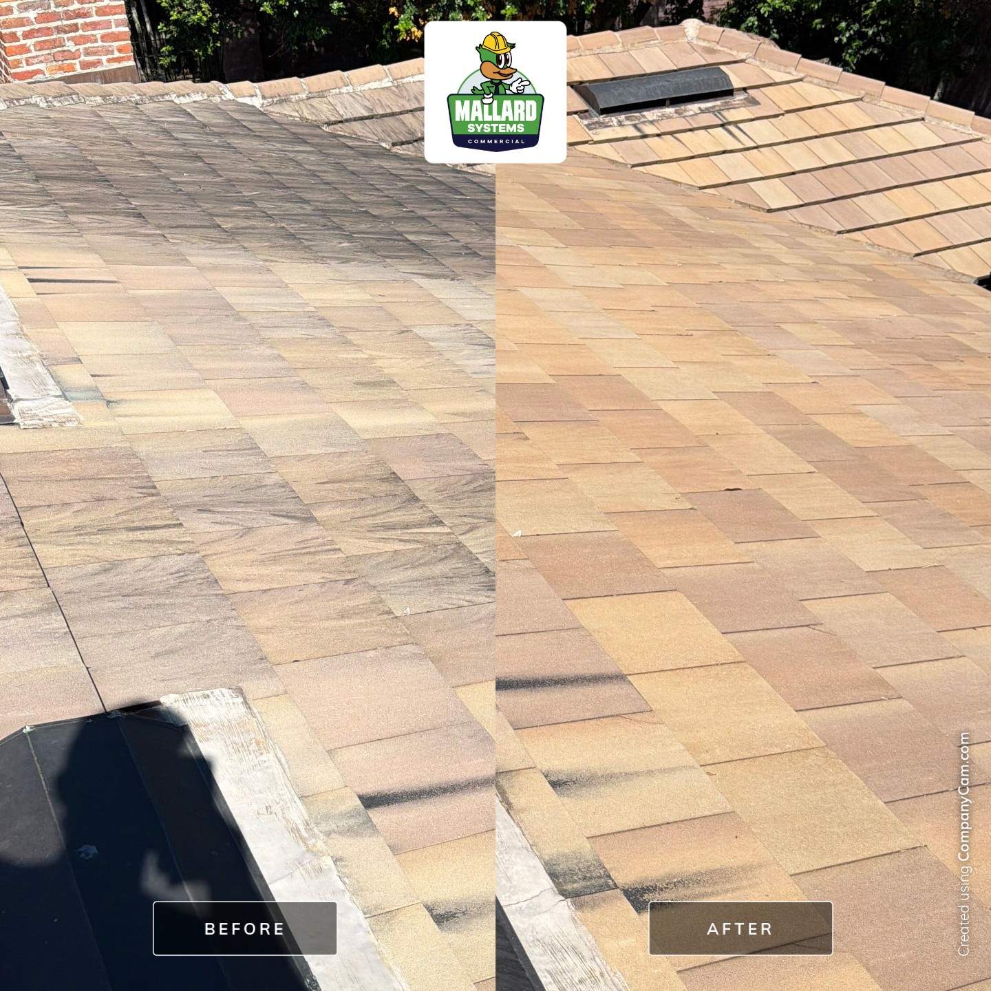 Tile Roof Cleaning in Orlando by Mallard Systems