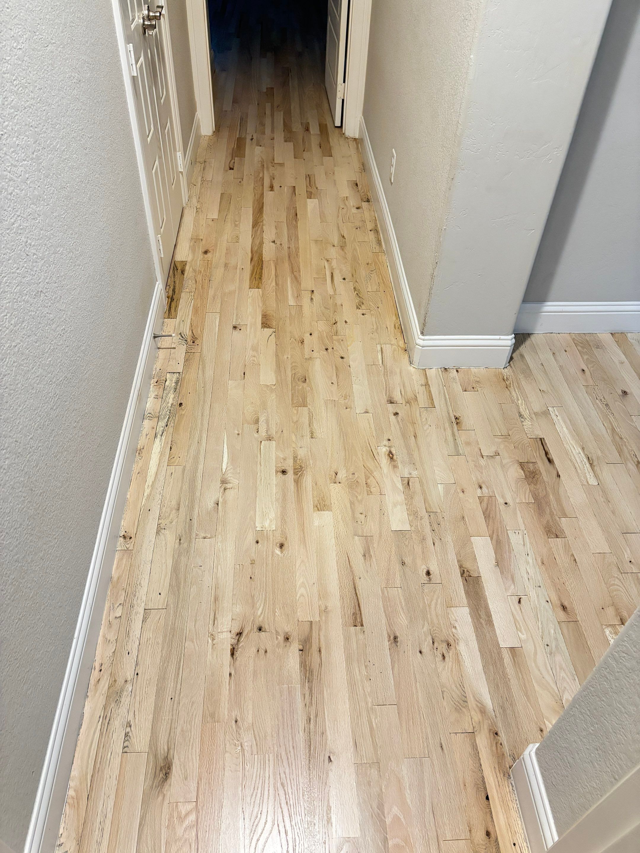 Bleaching a Red Oak #2 by Bernard Hardwood Floors