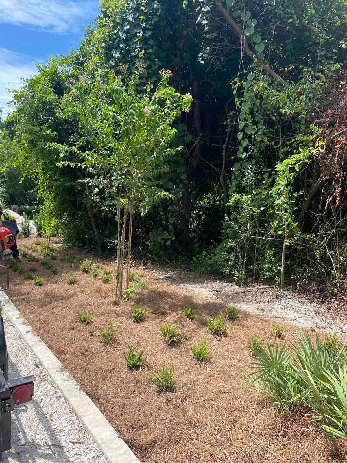 Landscape Install | Residence by ProGreen Services
