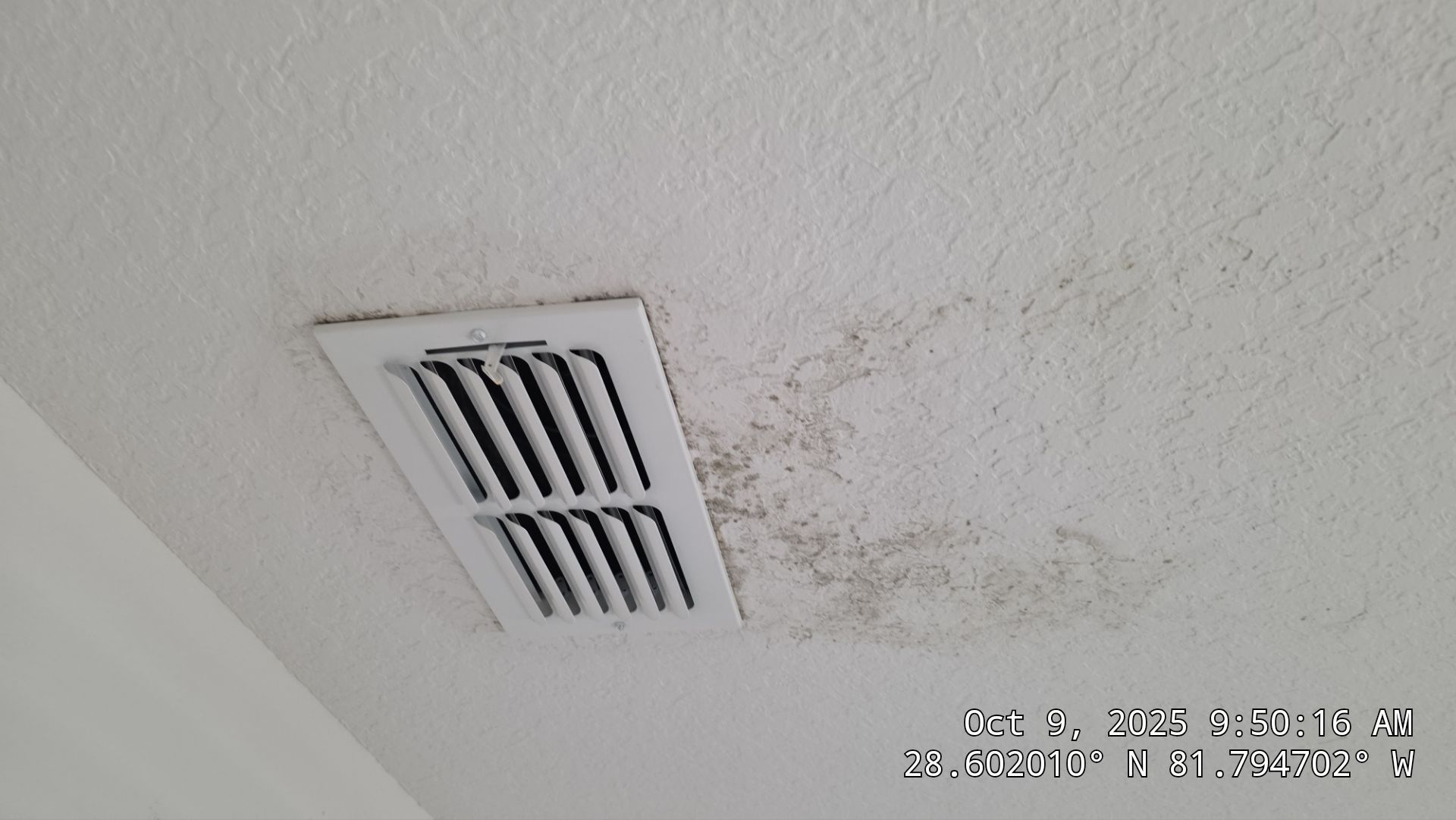 Air Duct and Dryer Vent Cleaning in Groveland by Hygienic Air, Inc