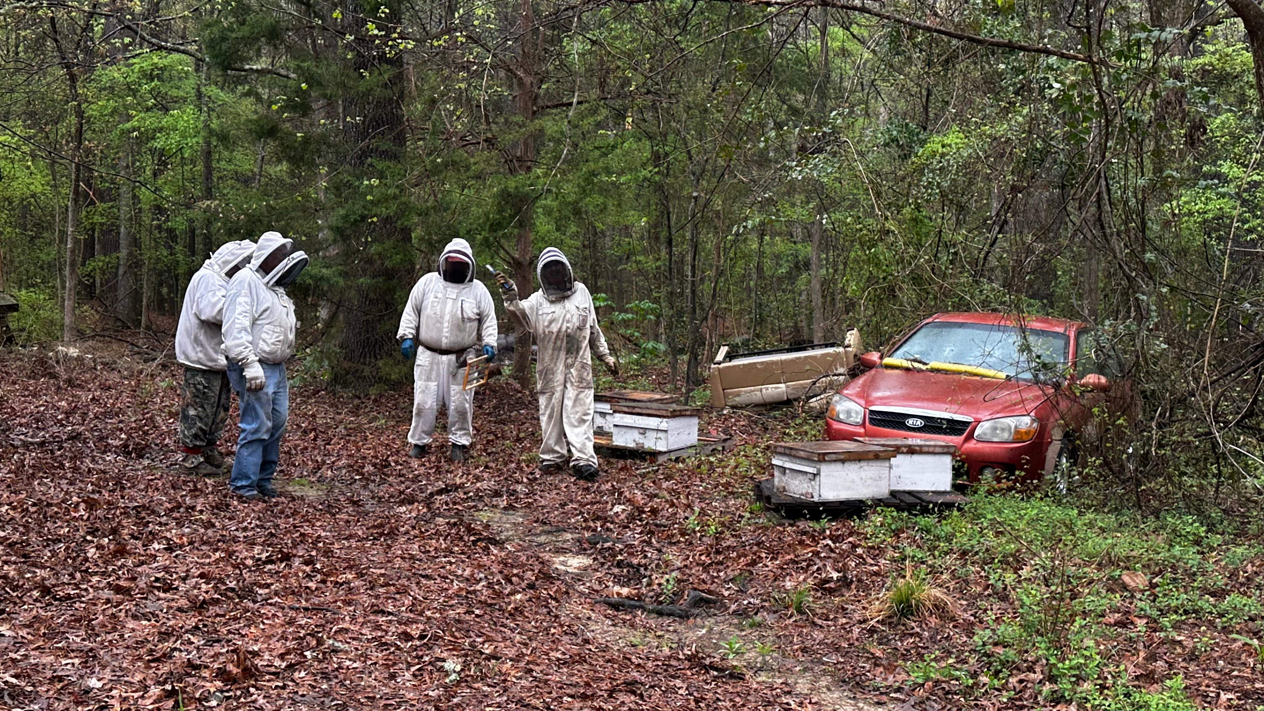 BeeGirl ETX HQ by Rockwall Honey Bee Company