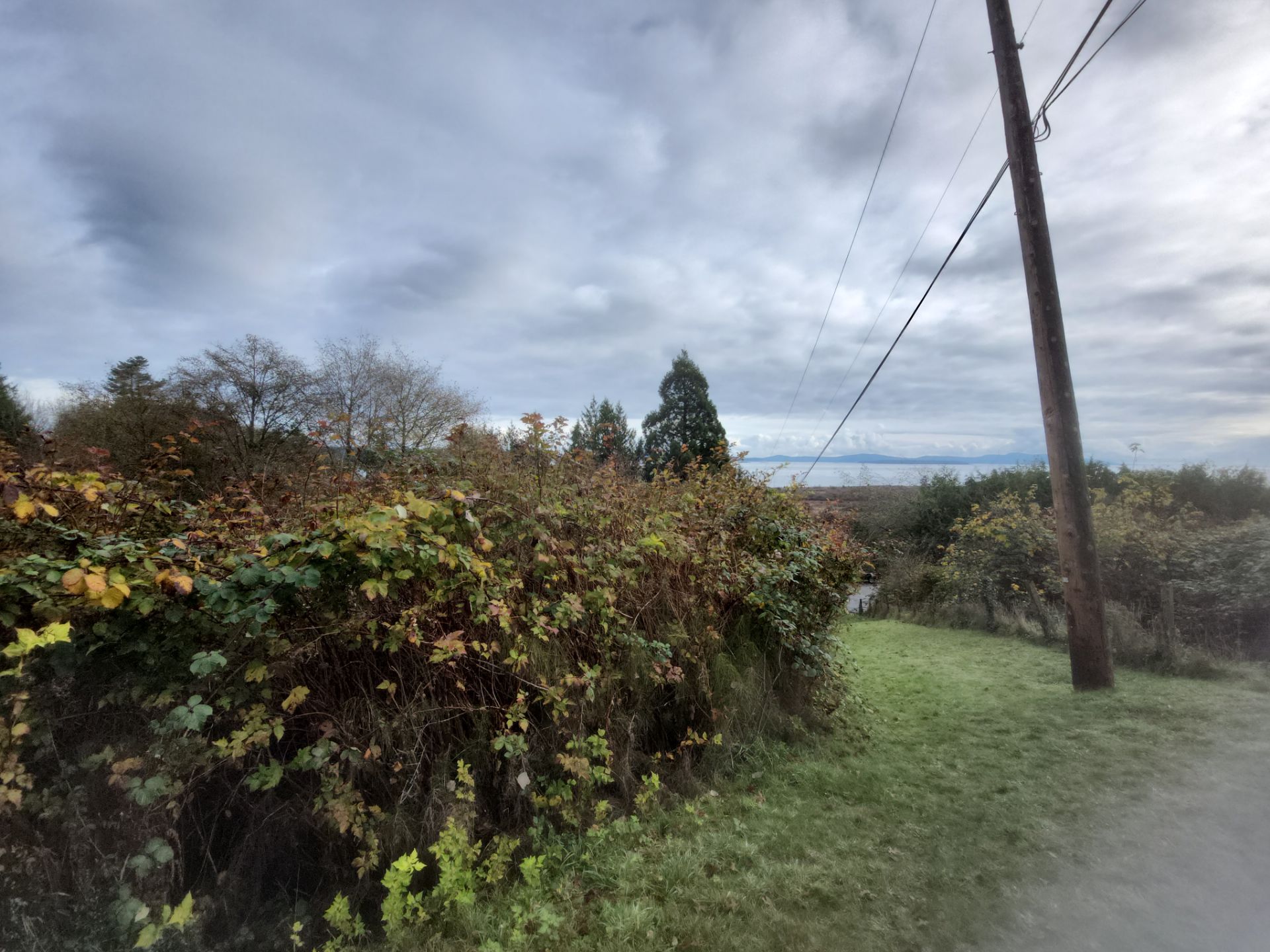 Island View - Ecological Restoration & Stewardship by Habanero Landscape Solutions