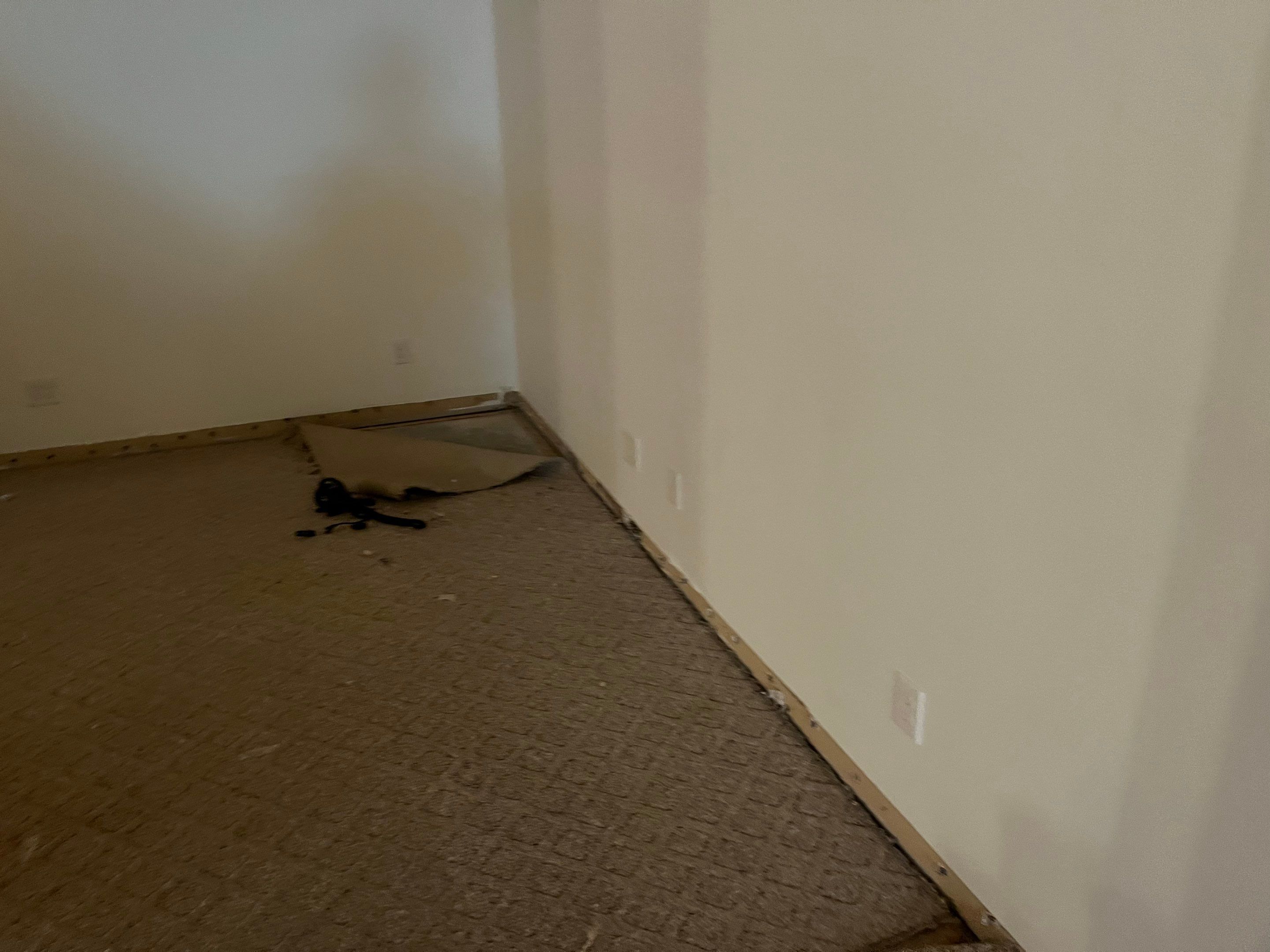 Water Damage and Restoration by ANR Restoration