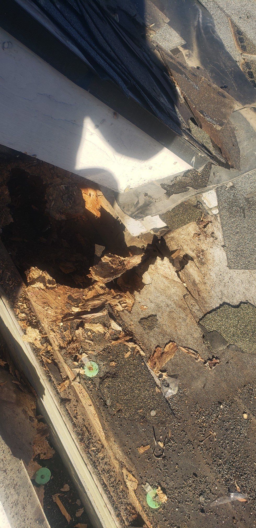 Single family home in Star, ID. gets a new Owens Corning Oakridge Roof by ID Roofing LLC