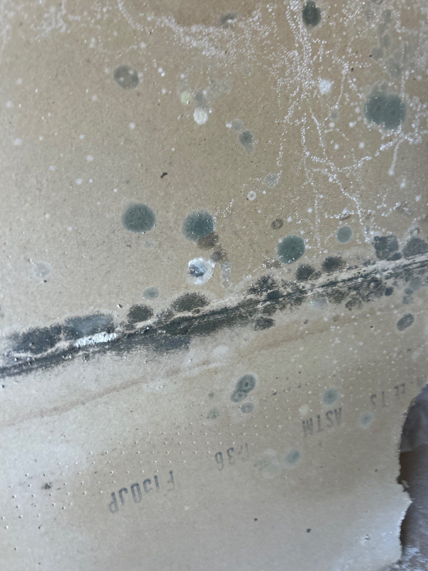 Water Damage Rebuild In Bradenton, FL by Ampm Restoration Services