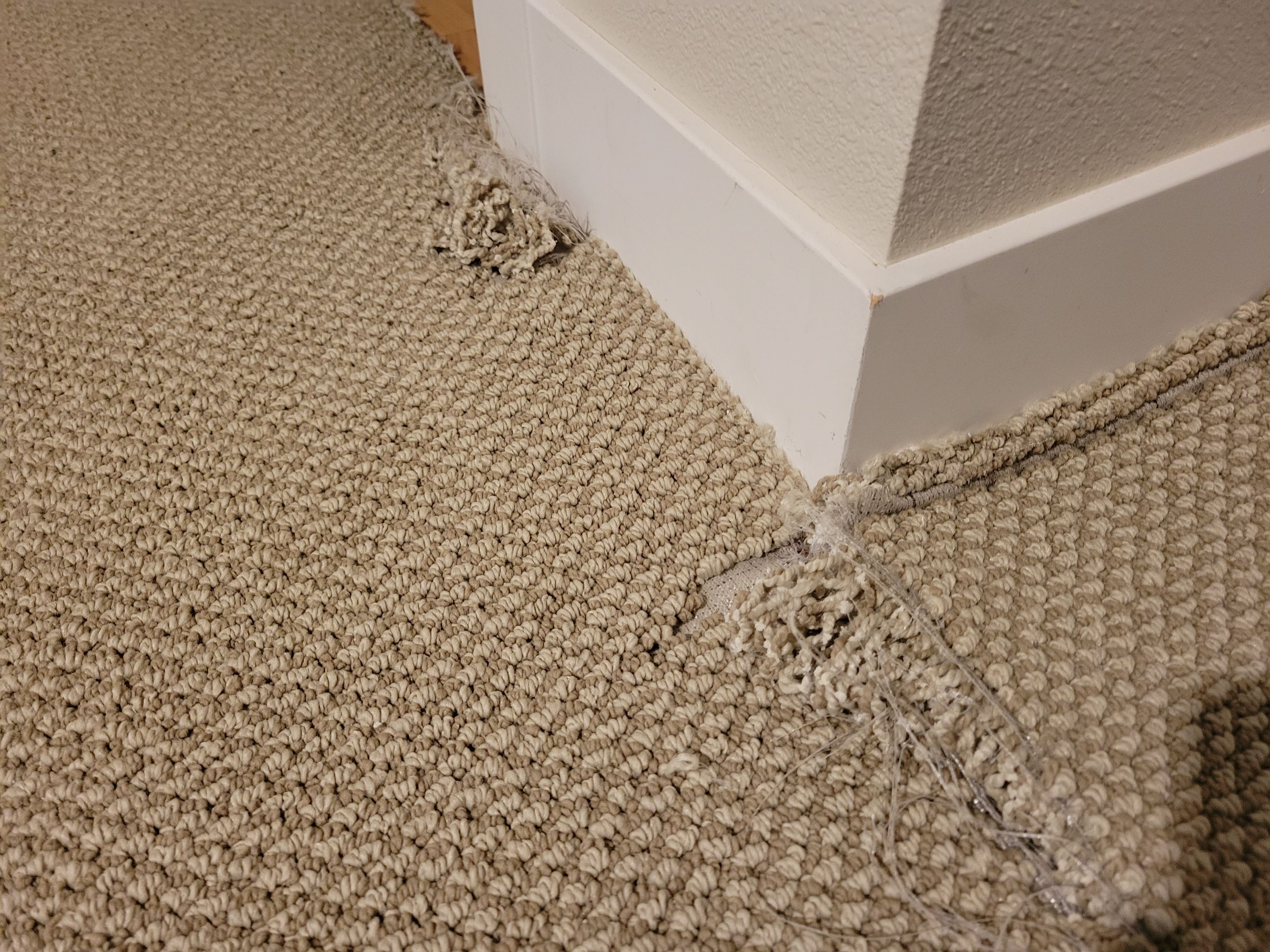 Bonded Insert Repair, Dog Damaged Carpet by Ardent Carpet Restore LLC