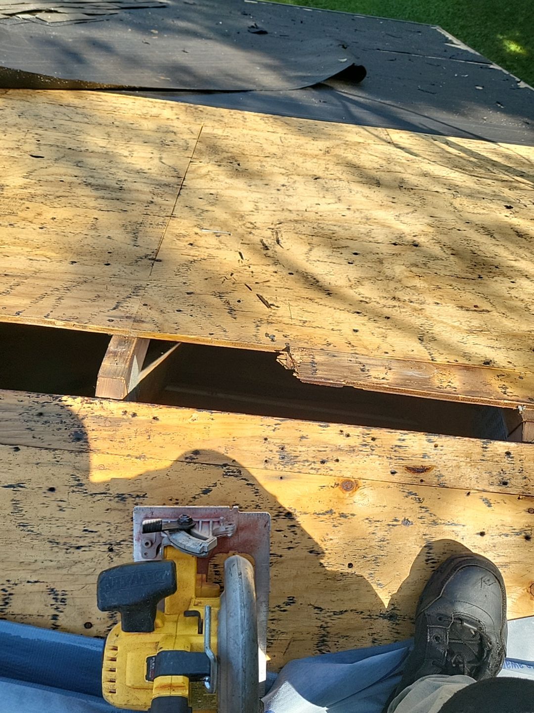 ATLAS PINNACLE COLOR: MORNING HARVEST by Eagle Eye Roofing