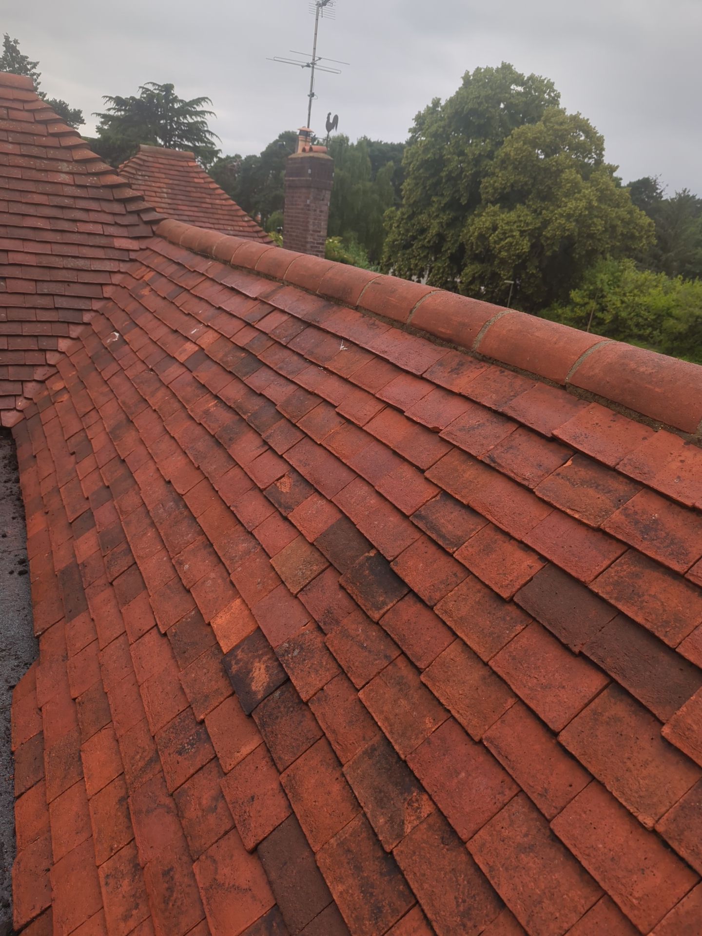 Roof Clean - Biocide Treatment using Honda 15lpm Low Pressure Washing Machine by Ges Exterior Cleaning ltd