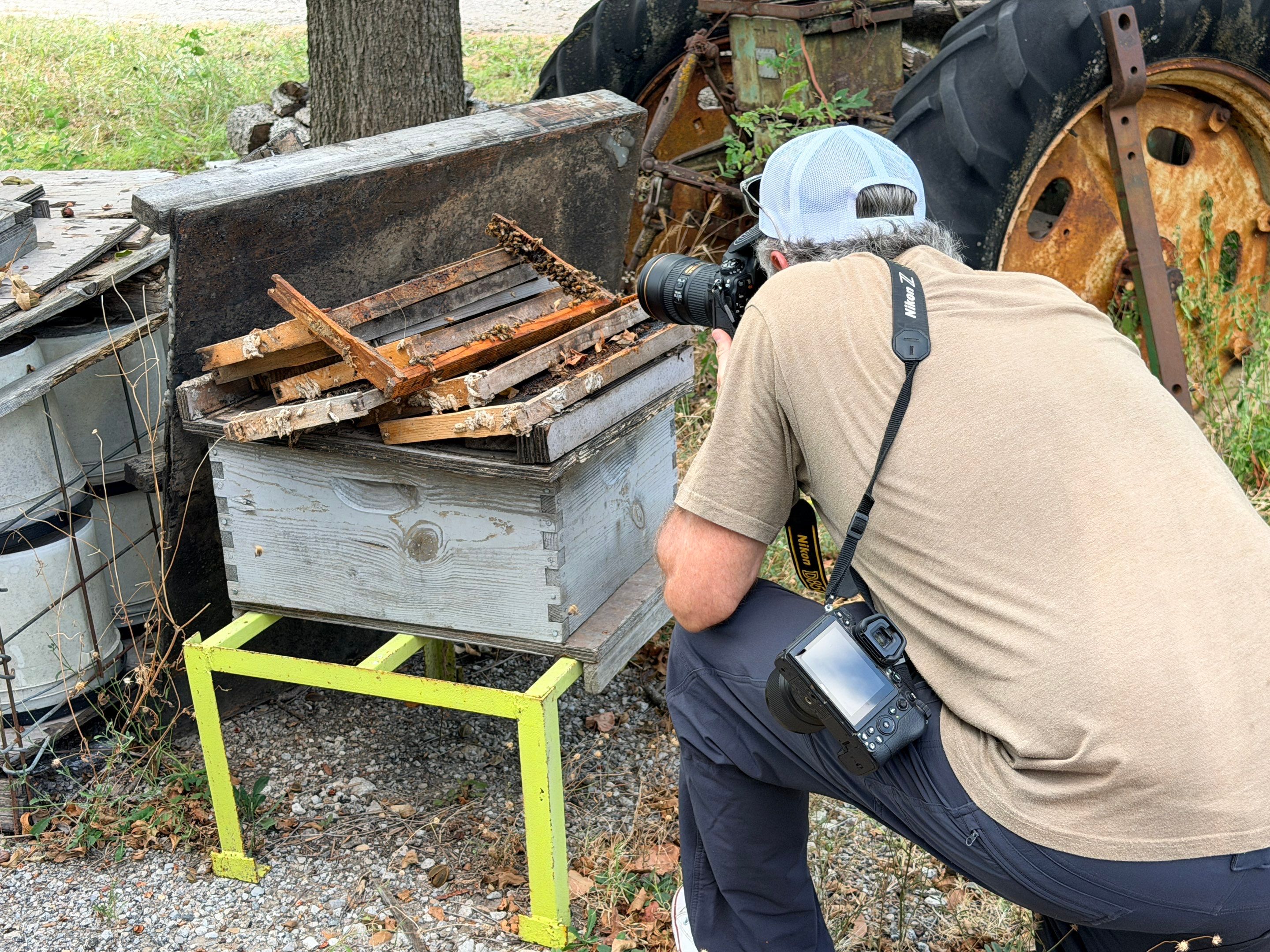 Project in Royse City, TX by Rockwall Honey Bee Company