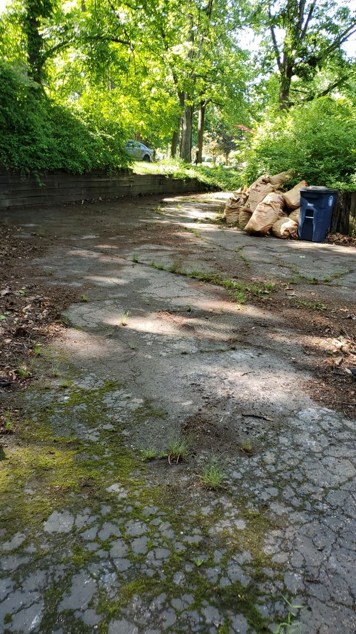 Tree Trimming using Tree Pruing by Mike Jones & Sons Tree Service LLC 