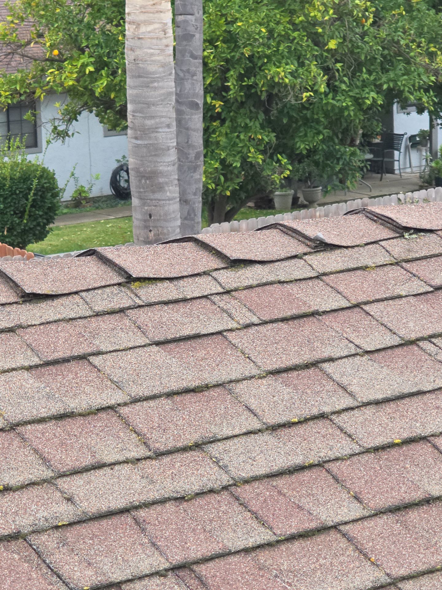 Roof Rejuvenation using Roof Maxx Treatment by Roof Maxx of Folsom