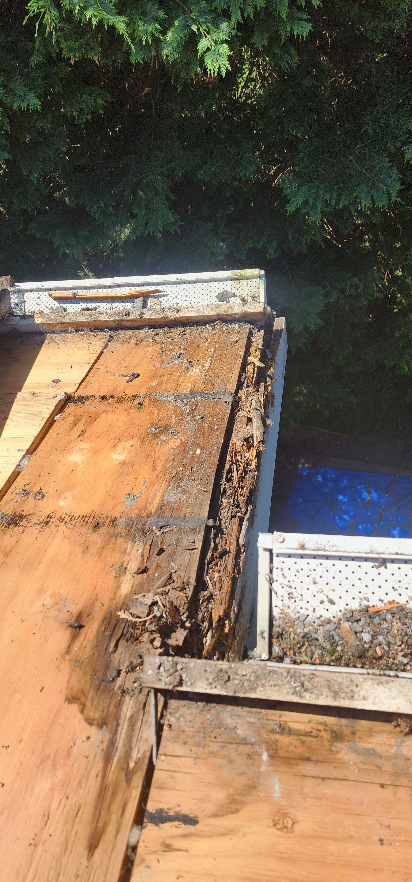 Woodinville John by RoofWorks Northwest